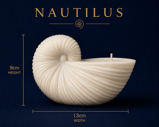 Nautilus