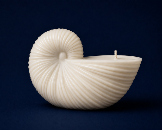 Nautilus